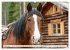 Pferde in freier Natur (hochwertiger... - Bild 7