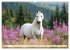 Pferde in freier Natur (hochwertiger... - Bild 8