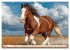 Pferde in freier Natur (hochwertiger... - Bild 9