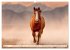 Pferde in freier Natur (hochwertiger... - Bild 10