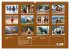 Pferde in freier Natur (Wandkalender... - Bild 6