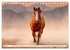 Pferde in freier Natur (Tischkalender... - Bild 11