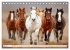 Pferde in freier Natur (Tischkalender... - Bild 13
