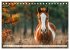 Pferde in freier Natur (Tischkalender... - Bild 3