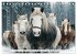 Pferde in freier Natur (Tischkalender... - Bild 5