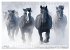 Pferde in freier Natur (Tischkalender... - Bild 7