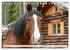 Pferde in freier Natur (Tischkalender... - Bild 8