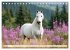 Pferde in freier Natur (Tischkalender... - Bild 9