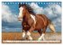 Pferde in freier Natur (Tischkalender... - Bild 10