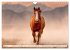 Pferde in freier Natur (Wandkalender... - Bild 11