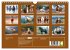 Pferde in freier Natur (Wandkalender... - Bild 6