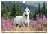 Pferde in freier Natur (Wandkalender... - Bild 9
