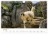 Macchu Picchu (Wandkalender 2026 DIN A4... - Bild 12