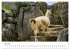 Macchu Picchu (hochwertiger Premium... - Bild 11