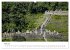 Macchu Picchu (hochwertiger Premium... - Bild 10