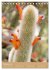 Fotogalerie Fotogalerie