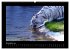 Welt der Katzen - Tiger (hochwertiger... - Bild 3