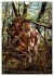 Naturburschen... intim (Wandkalender... - Bild 11