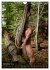 Naturburschen... intim (Wandkalender... - Bild 15