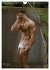 Naturburschen... intim (Wandkalender... - Bild 9