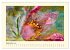 Fotografie trifft Malerei (Wandkalender... - Bild 15