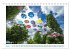 Allensbach am Bodensee (Tischkalender... - Bild 11
