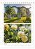 Gartenparadiese in England... - Bild 13