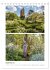 Gartenparadiese in England... - Bild 15