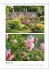 Gartenparadiese in England... - Bild 3