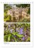 Gartenparadiese in England... - Bild 4
