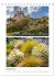 Gartenparadiese in England... - Bild 5