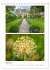 Gartenparadiese in England... - Bild 7