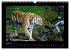 Welt der Katzen - Tiger (Wandkalender... - Bild 12