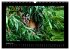 Welt der Katzen - Tiger (Wandkalender... - Bild 14