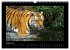 Welt der Katzen - Tiger (Wandkalender... - Bild 3