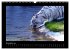 Welt der Katzen - Tiger (Wandkalender... - Bild 4