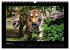 Welt der Katzen - Tiger (Wandkalender... - Bild 7