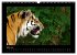 Welt der Katzen - Tiger (Wandkalender... - Bild 9