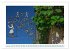 Allensbach am Bodensee (hochwertiger... - Bild 14