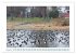 Allensbach am Bodensee (hochwertiger... - Bild 6