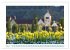 Allensbach am Bodensee (hochwertiger... - Bild 9