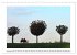 Am Niederrhein. Der Altkreis Moers... - Bild 15