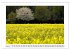 Am Niederrhein. Der Altkreis Moers... - Bild 10