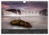 Amazing Iceland (Wall Calendar 2026 DIN... - Bild 12