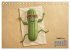 Vegane Power - Kalender für Veganer,... - Bild 14