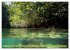Mangroves - Valuable Habitat (High... - Bild 13