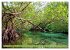 Mangroves - Valuable Habitat (High... - Bild 7