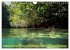 Mangroves - Valuable Habitat (Wall... - Bild 14