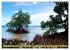 Mangroves - Valuable Habitat (Wall... - Bild 15