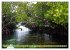 Mangroves - Valuable Habitat (Wall... - Bild 7